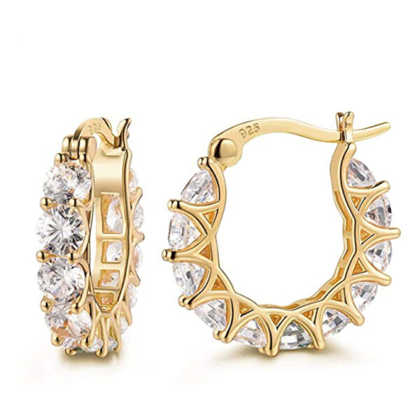 Inlaid Zircon Earrings